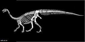 dinosaurio nueva especie