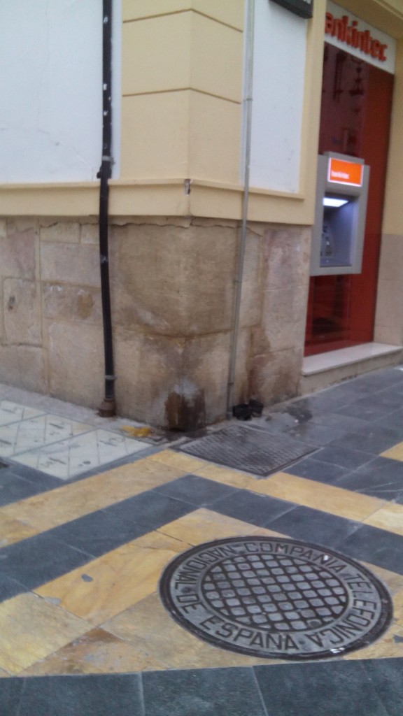 Manchas orines perros
