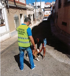 perro