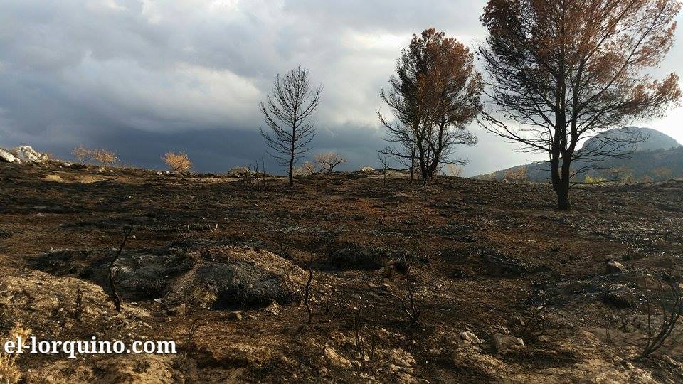 En imagen: Sierra del Almirez casi dos meses después del incendio que sufrió este pasado verano. 