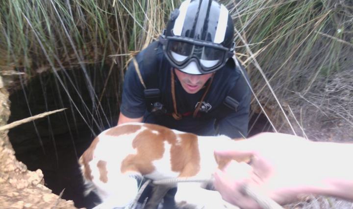 PERRO CAIDO POZO PTO LUMBRERAS