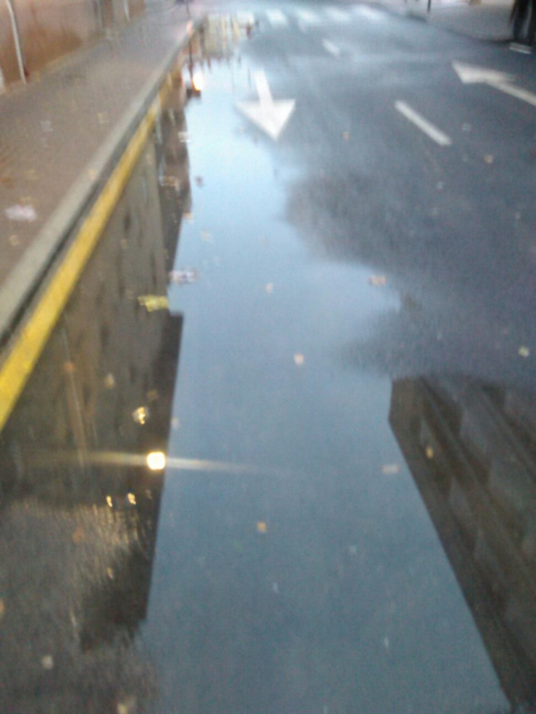 foto charcos Calle Voluntarios