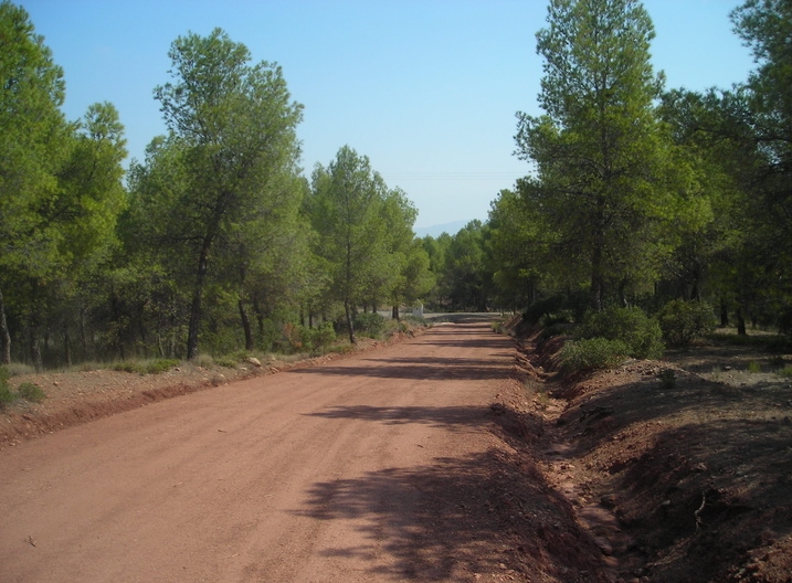 forestales