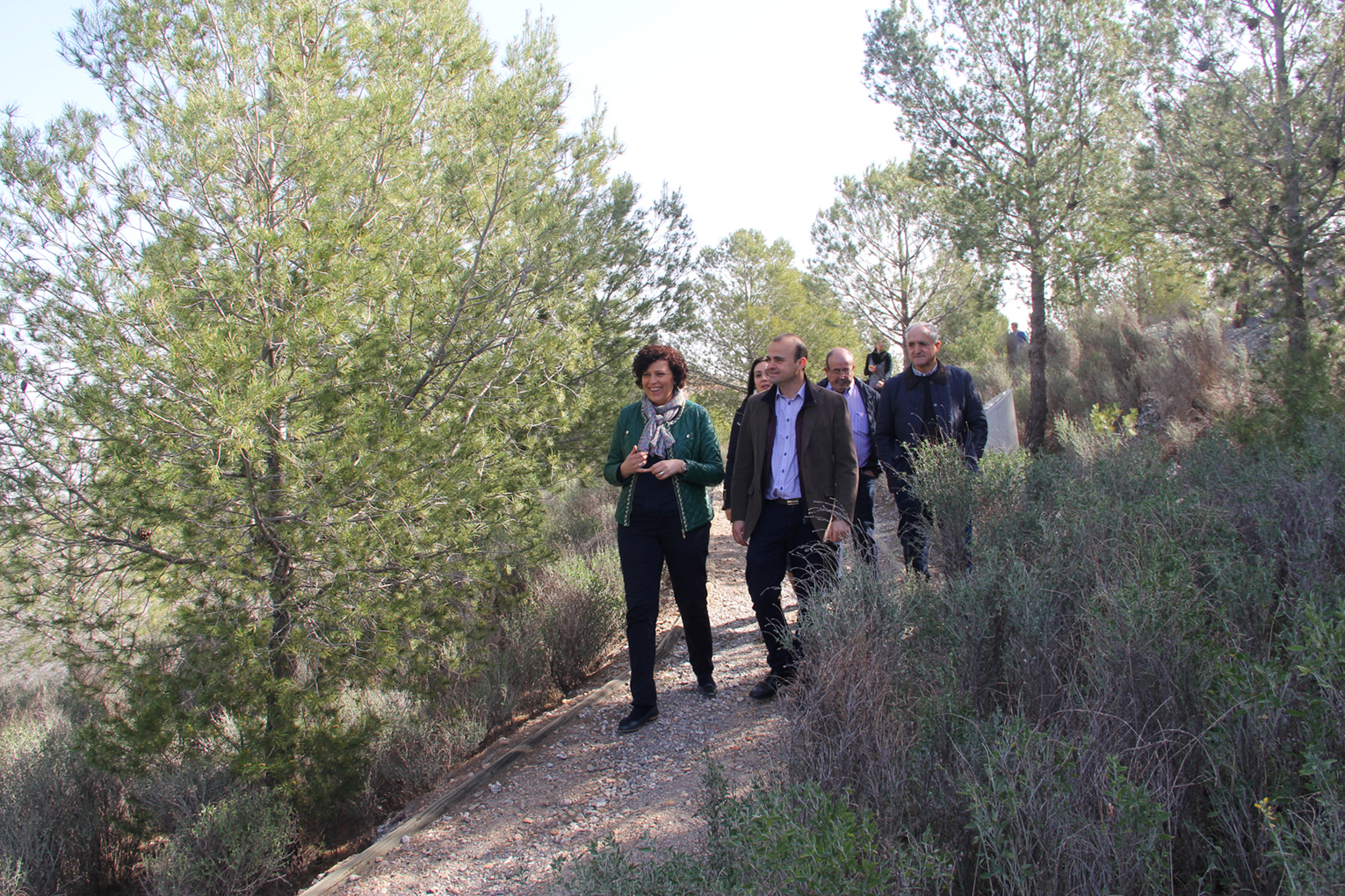 dgruralyforestalr_XL