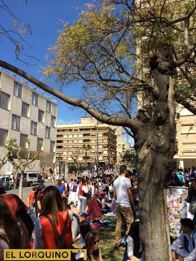 49393cc5-1559-47cb-8f6e-722a519c5b9e