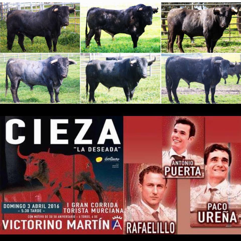 Cartel y toros Cieza