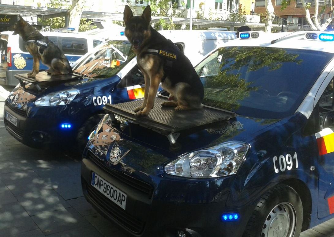 Perro_policia_palencia_2014