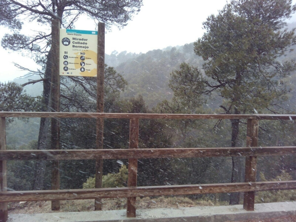 mirador totana1