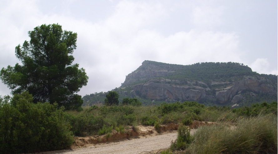 monte arabi