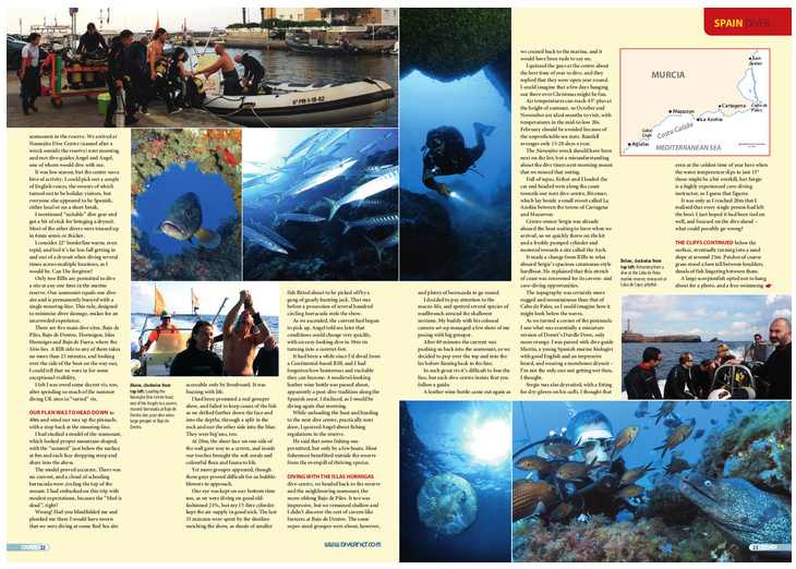 revista britanica