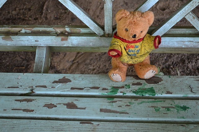 teddy-bear-951581_640