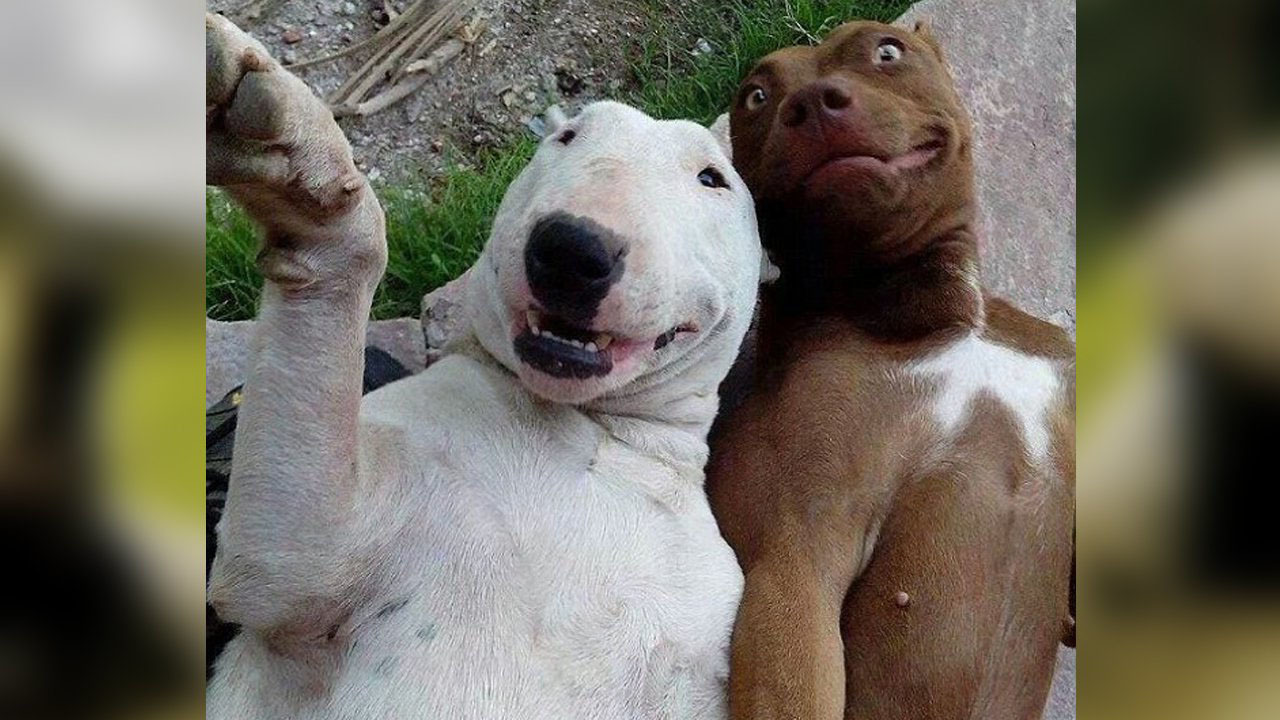 710