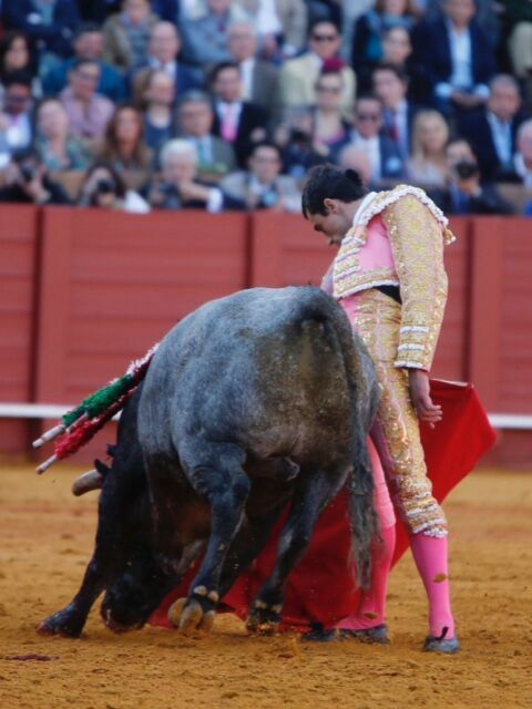 Gran muletazo