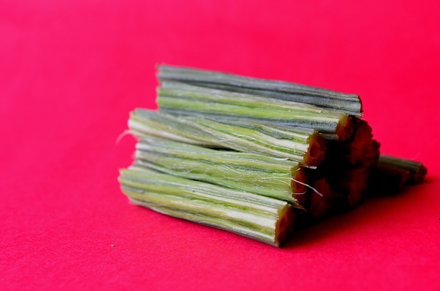 drumstick-390257_640