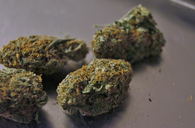 marijuana-1414002_640