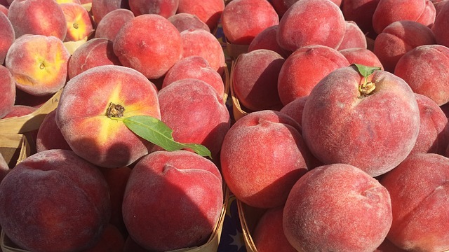 peach-1405605_640