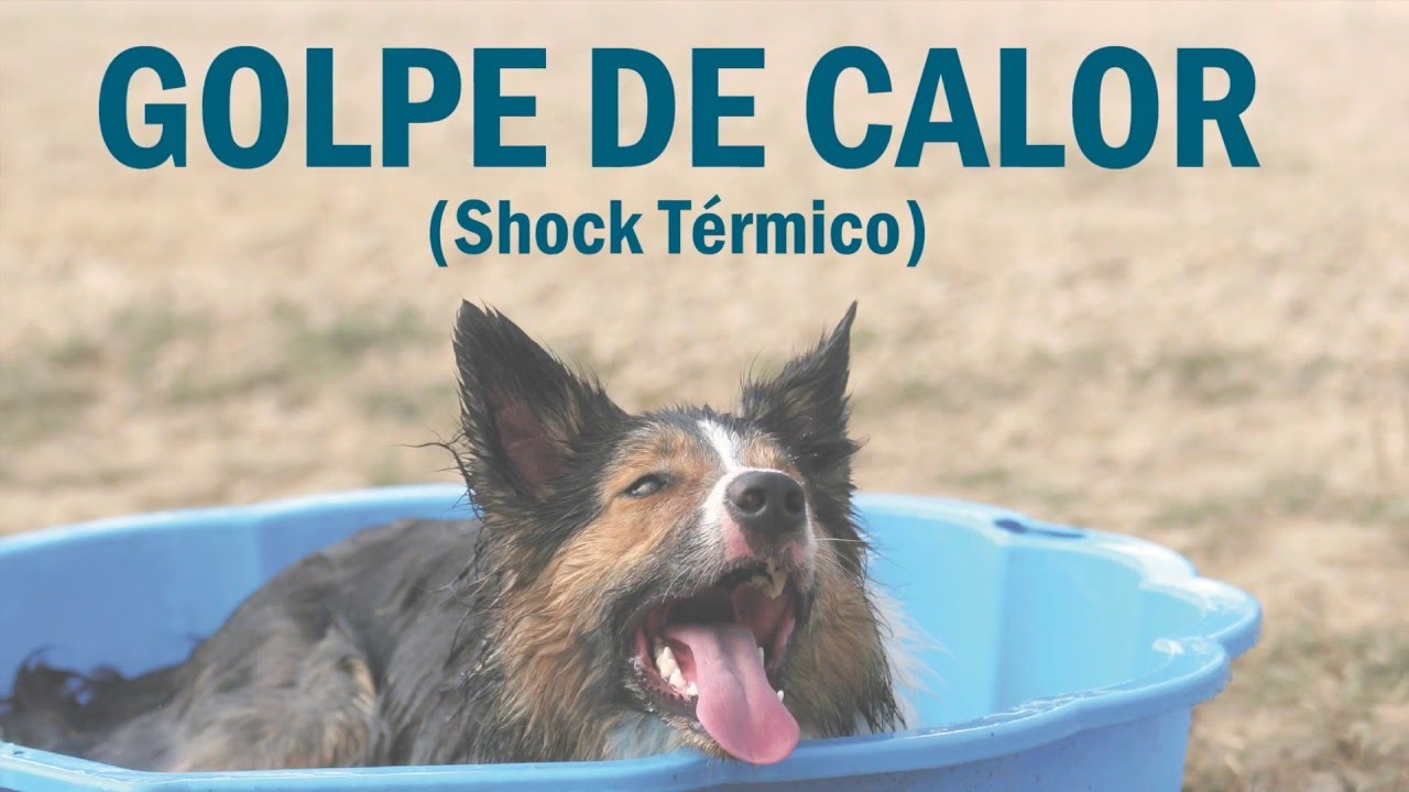 golpe de calor