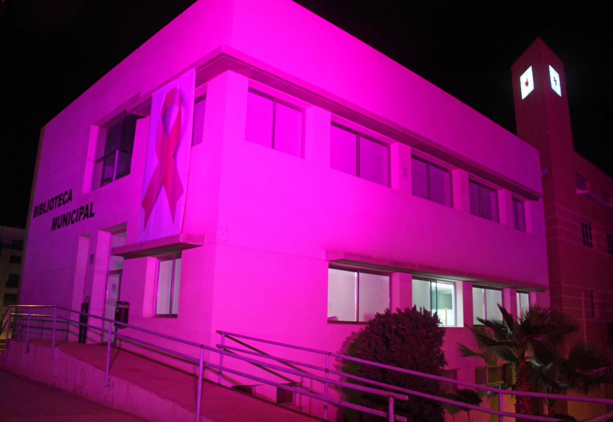 bibliotecailuminadarosa16_xl