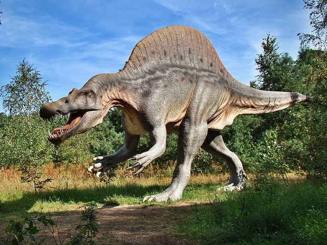 dinosaur-1310676_640