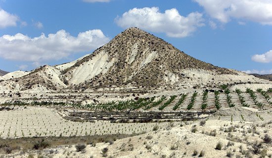 desertificacion